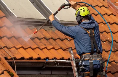 Démoussage et hydrofuge de toiture à Arthenac